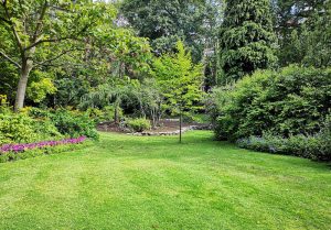 Optimiser l'expérience du jardin à Cordonnet