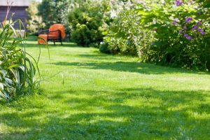 travaux jardin et paysage Cordonnet